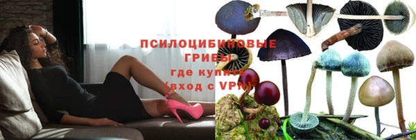 соль ск Корсаков