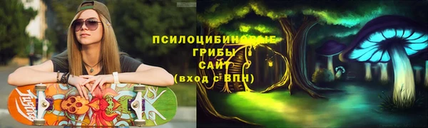 мескалин Коряжма