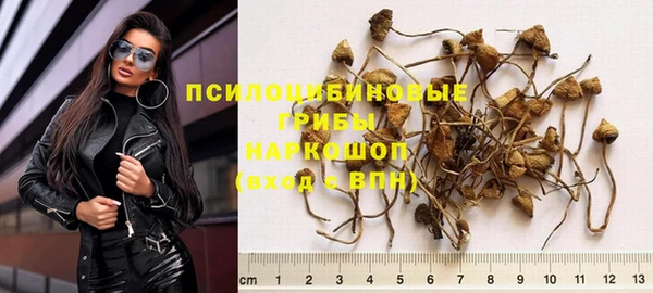 соль ск Корсаков